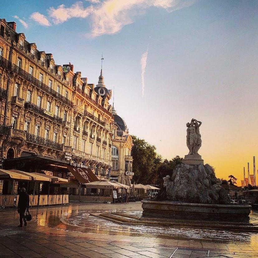 Le Havre De Paix Montpellierain - Terrasse Et Parking Prive Apartment Exterior photo